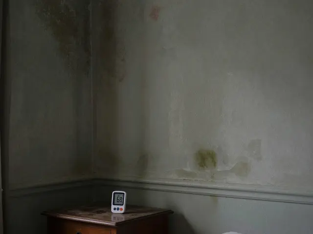 Bauschäden an Immobilien erkennen: Der praktische Leitfaden für Käufer