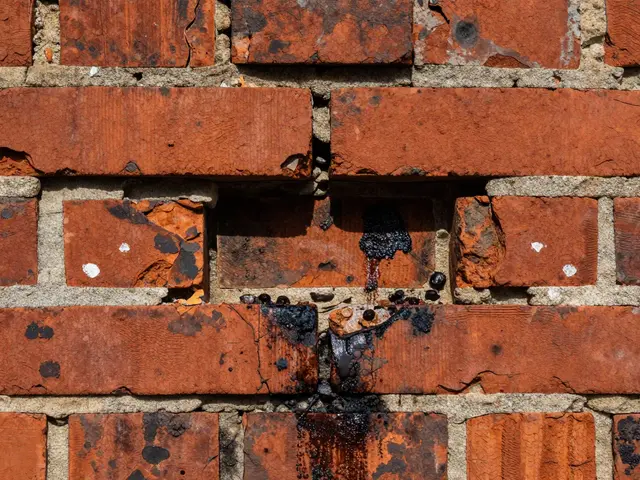 Backsteinwand sanieren: Die richtige Fugensanierung an der Ziegelfassade